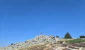 Trail Walking Vialas - mas de la barque - Photo 3