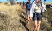 Trail  Peyre en Aubrac - Nasbinals jour 5 - Photo 3