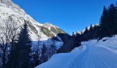 Trail Snowshoes Pralognan-la-Vanoise - Pont de Gerlon - Photo 4