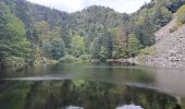 Excursión Senderismo Le Valtin - VOSGES 2023 - Sentier des Roches - Photo 14