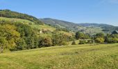 Tour Wandern Schnierlach - La tour du Faudé - Photo 18