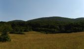 Percorso A piedi Szendehely - Nőtincs-Gyadai rét turistaút - Photo 2