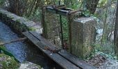 Randonnée Marche Le Thoronet - Le Thoronet- Canal de Ste Croix - Argens - Photo 15