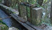 Tocht Stappen Le Thoronet - Le Thoronet- Canal de Ste Croix - Argens - Photo 15