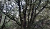 Randonnée Marche Bédoin - BEDOIN , combe obscure , belvédèrre , pré michel - Photo 3