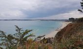 Tour Wandern Saint-Jacut-de-la-Mer - rando pointe de ST JACUT 22 - Photo 9