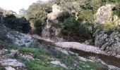Trail Walking Roquebrune-sur-Argens - Les hauts et bas Pétignons - Photo 2