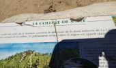 Trail Walking Saint-Cyr-sur-Mer - Dune de sable  - Photo 15