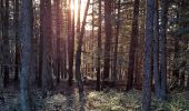 Tour Wandern Barre-des-Cévennes - Cam noire - Photo 9