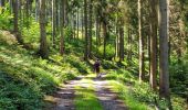 Tour Wandern Gedinne - Balade à Bourseigne-Neuve - Gedinne - Photo 10