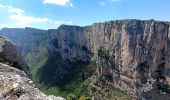Excursión Senderismo Rougon - Point Sublime-Belvédère de Rancoumas - Photo 1