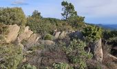 Trail Walking Collobrières - Verne - plateau Lambert - Photo 10