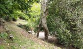 Tocht Stappen Laroque-des-Albères - La vallée heureuse retour par le lotisement - Photo 4