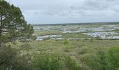 Excursión Senderismo Lacanau - D6E1 etang de cousseau/ ocean AR - Photo 4