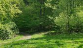 Tocht Te voet Wernigerode - DE-grünes Quadrat - Photo 7