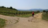 Tocht Stappen Riquewihr - Riquewihr  - Photo 17