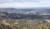 Tour Wandern Gémenos - Col de L'Espigoulier, col de Bretagne, Dents de Roque Forcade A/R - Photo 14