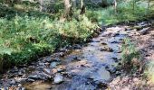 Randonnée Marche Malmedy - Le pouhon des cuves   - Photo 6