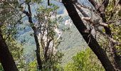 Tour Wandern Saint-Jean-du-Gard - St jean du Gard - grotte de Rouville - Photo 13