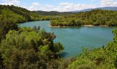 Trail Walking Montauroux - Esterets du Lac - Observatoire - Lac de St Cassien - Photo 6