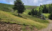 Trail Walking Saint-Jacques-des-Blats - devezou par Buron  - Photo 2