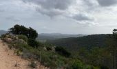 Excursión Senderismo La Londe-les-Maures - Dolmen de Gautabry par le vallon de Tamary - Photo 2