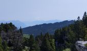 Tour Wandern Entremont-le-Vieux - les champignons du Pinet - Photo 3