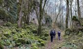 Excursión Senderismo Saint-Thiébault - Bourmont sentier dans les bois  - Photo 4