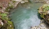 Tour Wandern Le Grand-Bornand - La Côté Aravis 1bis - Photo 2