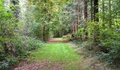 Tocht Stappen Seraing - ptit tour par les ptits chmins du bois de sraing - Photo 4