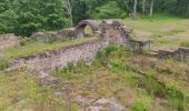 Excursión Senderismo Ernolsheim-lès-Saverne - 2019-05-30 Marche Mt St Michel Ernolsheim les Saverne Reel - Photo 19