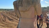 Trail Walking Montagnac - Arsel montagnac la cave et les statues - Photo 16