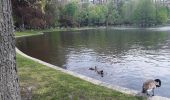 Tocht Stappen Onbekend - Balade au Public Garden à Boston  - Photo 2