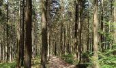 Randonnée Marche Amblève - La rivière d'or (9km) - Photo 10