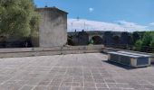 Trail Walking Carcassonne - carcassone - Photo 3