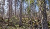 Percorso Marcia Châtelblanc - Le pré-poncet par le petit pont et la forêt  - Photo 6
