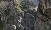 Tocht Stappen La Chapelle-en-Valgaudémar - Cascade de la Buffe  - Photo 1