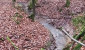 Tour Wandern Sint-Genesius-Rode - Sint-Genesius-Rode - Hoeilaart 2020 01 14 Groene Gordel 2 - Photo 9