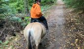 Tour Reiten Ernolsheim - Sortie chapelle saint Michel  - Photo 2