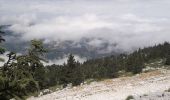 Tour Nordic Walking Lans-en-Vercors - La Moucherotte - Photo 2