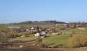 Tour Wandern La Roche-en-Ardenne - rando ornitho warempage 24/02/2021 - Photo 17