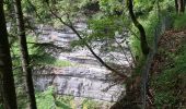 Excursión Senderismo Menétrux-en-Joux - cascades du hérisson- Menetrux en Joux - Photo 18