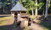 Trail Walking Reinhardsmunster - Reinhardsmunster - château Ochsenstein - tour du Brotsch - Photo 1