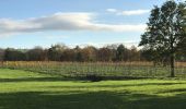 Trail Walking Aubel - Tour pédestre (complet) des vignes du vin du pays de Herve - Photo 4
