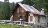 Trail On foot Pieve di Cadore - IT-343 - Photo 9