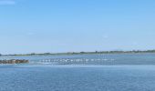 Tocht Elektrische fiets Aigues-Mortes - Grau du roi - Photo 4