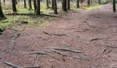 Trail Walking Houffalize - Achouffe 12 Km - Photo 11
