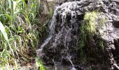 Tour Zu Fuß Telde - Barranco de los Cernícalos - Photo 5