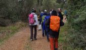 Tour Wandern Flassans-sur-Issole - Flassans sur issole - lac de redon - Photo 6