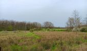 Randonnée Marche Chimay - tour du lac de virelle - Photo 11